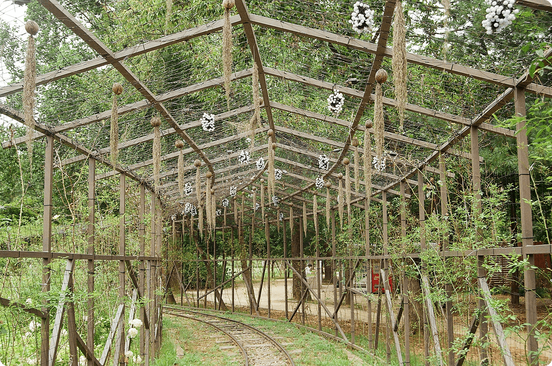 화동 농촌돌봄농장 활동 사진