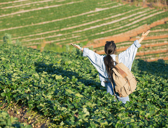 딸기 농장에서 체험하는 사람들